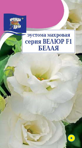 Эустома Велюр Белая махр. 5шт