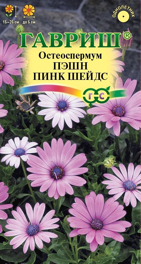 Остеоспермум Пэшн пинк шейдс 3 шт