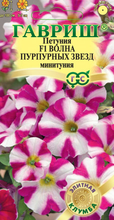 Петуния Волна пурпурных звезд (минитуния) 4шт