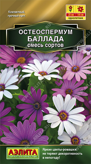 Остеоспермум Баллада 10шт