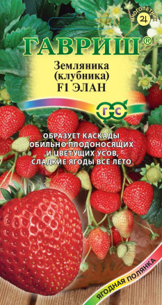 Земляника Элан (клубника) 5шт