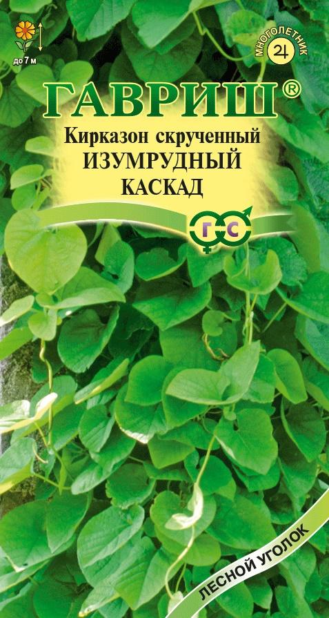 Кирказон Изумрудный каскад 3 шт