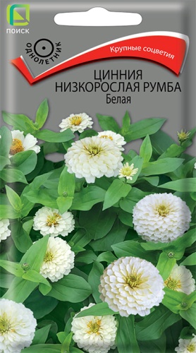 Цинния Румба Белая низк. 0,1г