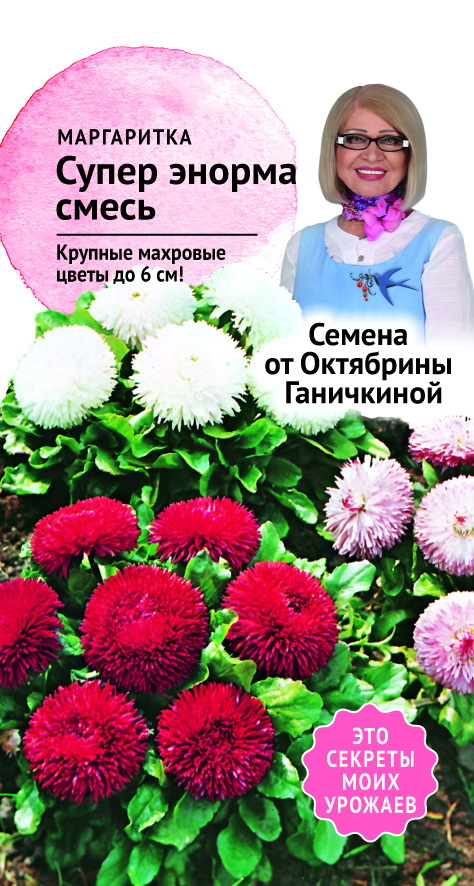 цМаргаритка Супер Энорма смесь 0,1 г (семена от Ганичкиной)