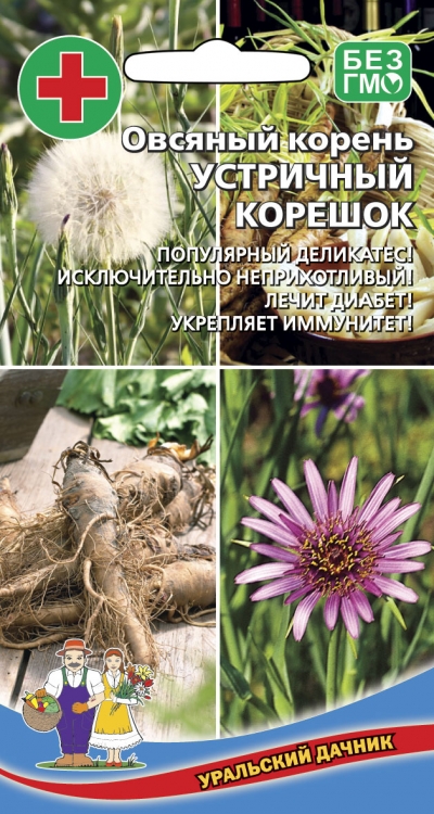 Овсяный корень Устричный корешок