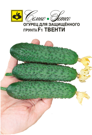 Огурец Твенти(20)  10шт