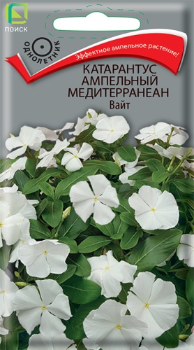 Катарантус Медитерранеан Вайт 10 шт