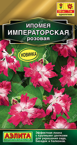 Ипомея Императорская розовая 9шт