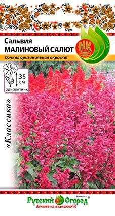 Сальвия Малиновый салют 10шт