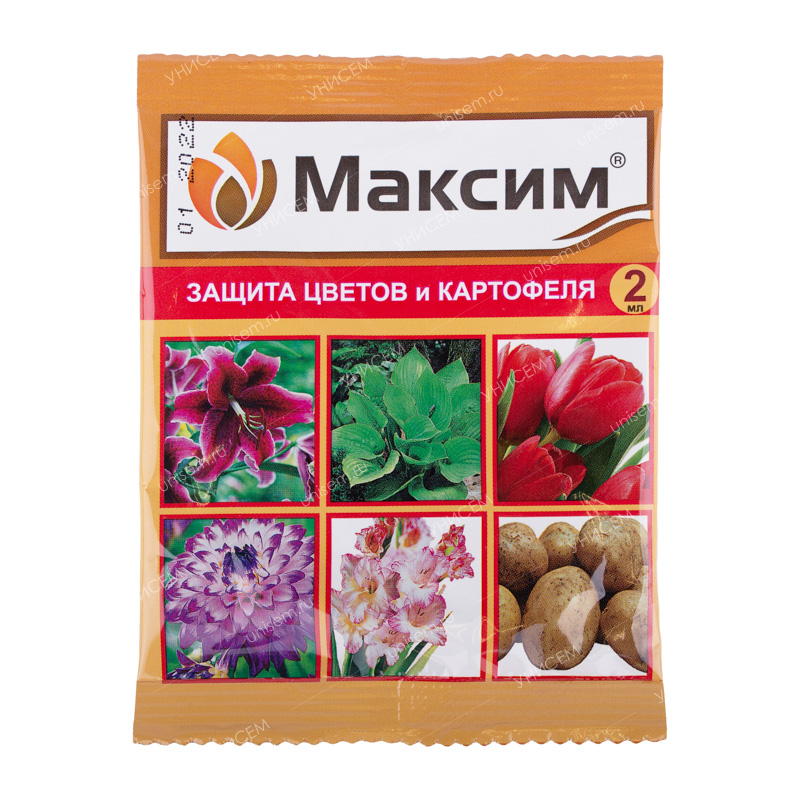 Максим амп.2 мл в пакете  (200шт.)
