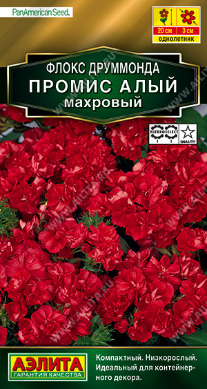 Флокс Промис алый друмм.10шт