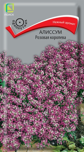 Алиссум Розовая королева 0,3г