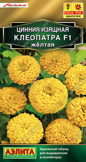 Цинния Клеопатра желтая 12шт