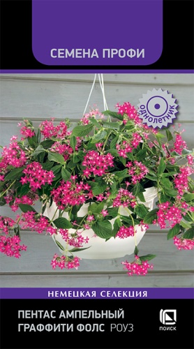 Пентас Граффити Фолс Роуз ампельный 5шт (Семена Профи)