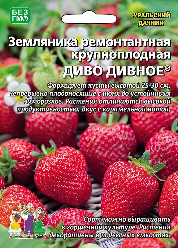 Земляника Диво Дивное крупн. Б/Ф 10шт