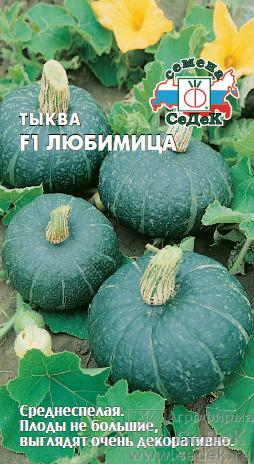 Тыква Любимица 1г