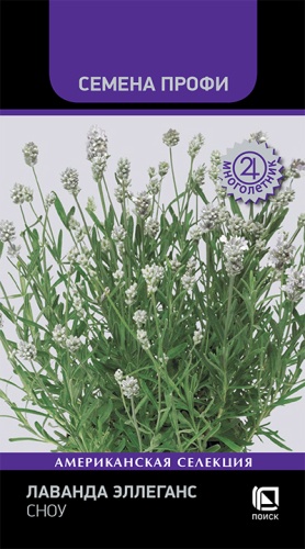 Лаванда Эллеганс Сноу 10шт (Семена Профи)
