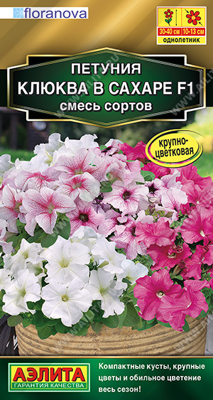 Петуния Клюква в сахаре 7шт