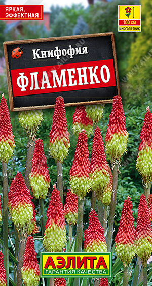 Книфофия Фламенко 30шт