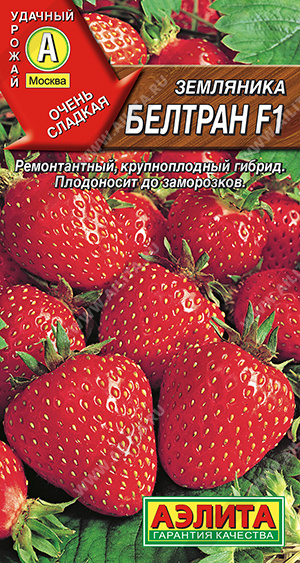 Земляника Белтран 5шт крупн. ремон.