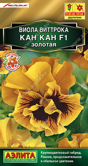 Виола Кан-кан золотая 7шт