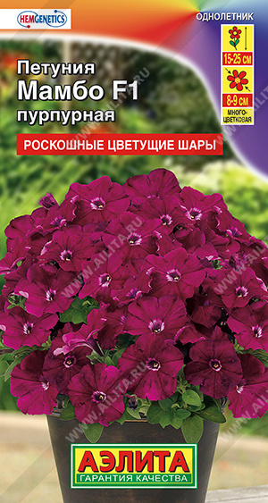 Петуния Мамбо пурпурная многоцв. 7шт