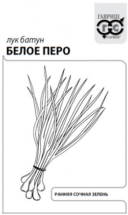 Лук батун Белое перо 0,5г