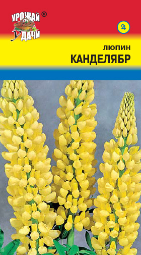 Люпин Канделябр