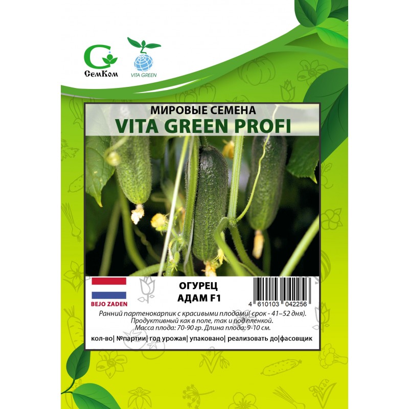 Огурец Адам (50шт)  VITA GREEN ПРОФИ