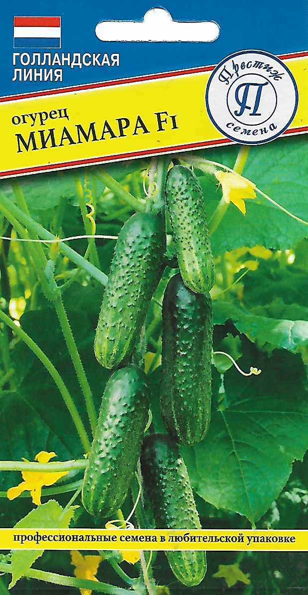 Огурец Миамара 5шт (Голландия)