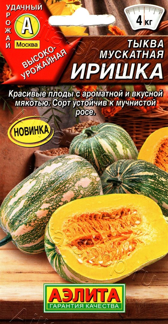 Тыква Иришка 1г мускатная