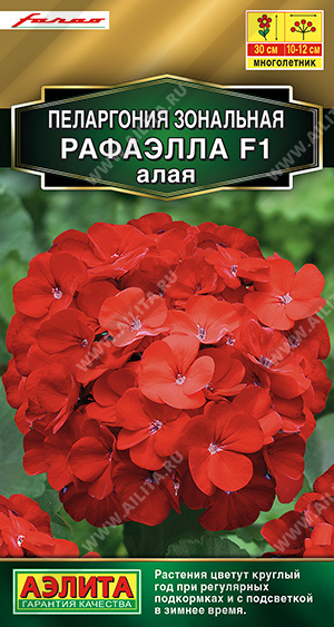 Пеларгония Рафаэлла алая 5шт
