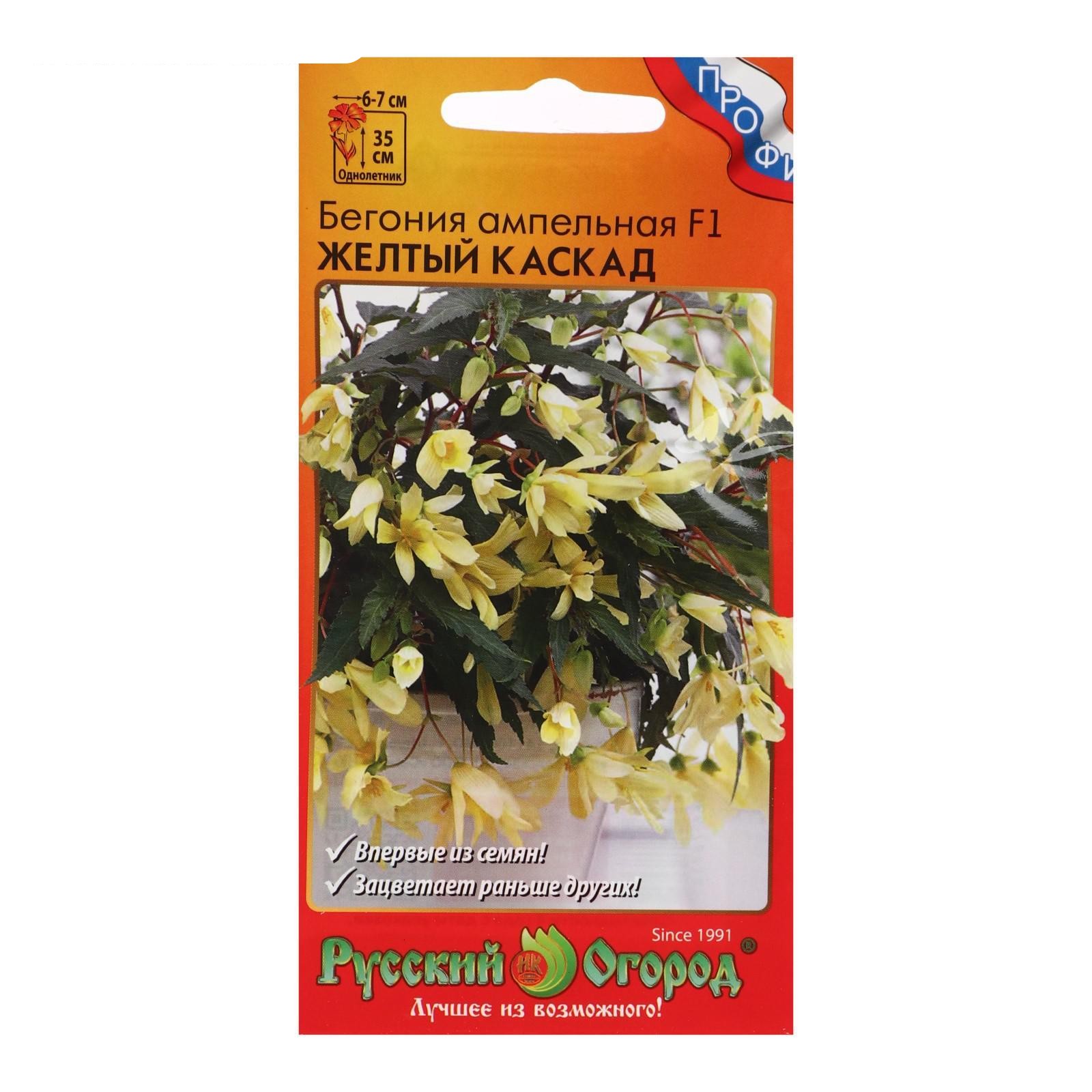 цБегония Желтый каскад амп. 5шт
