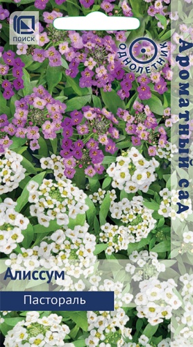 Алиссум Пастораль 0,3г (Ароматный сад)
