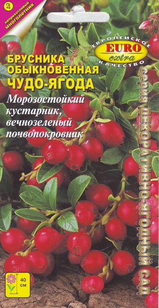 Брусника Чудо-ягода обыкновенная 0,04г