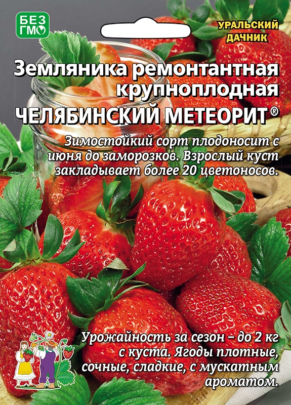 Земляника Челябинский метеорит крупн. 10шт