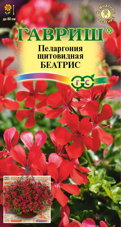 Пеларгония Беатрис ампельная 3шт