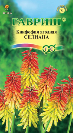 цКнифофия Селиана  0,1 г.