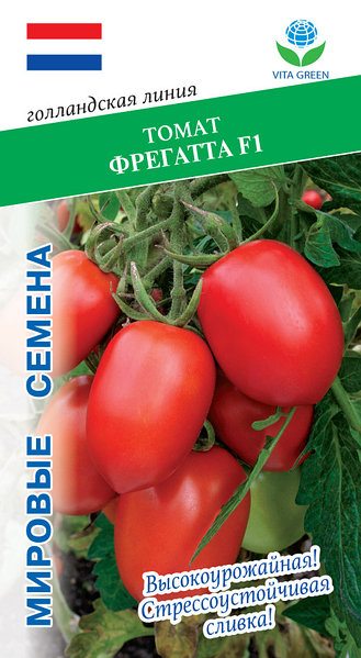 Томат Фрегатта 10шт VITA GREEN