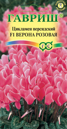 Цикламен Верона розовая 3шт