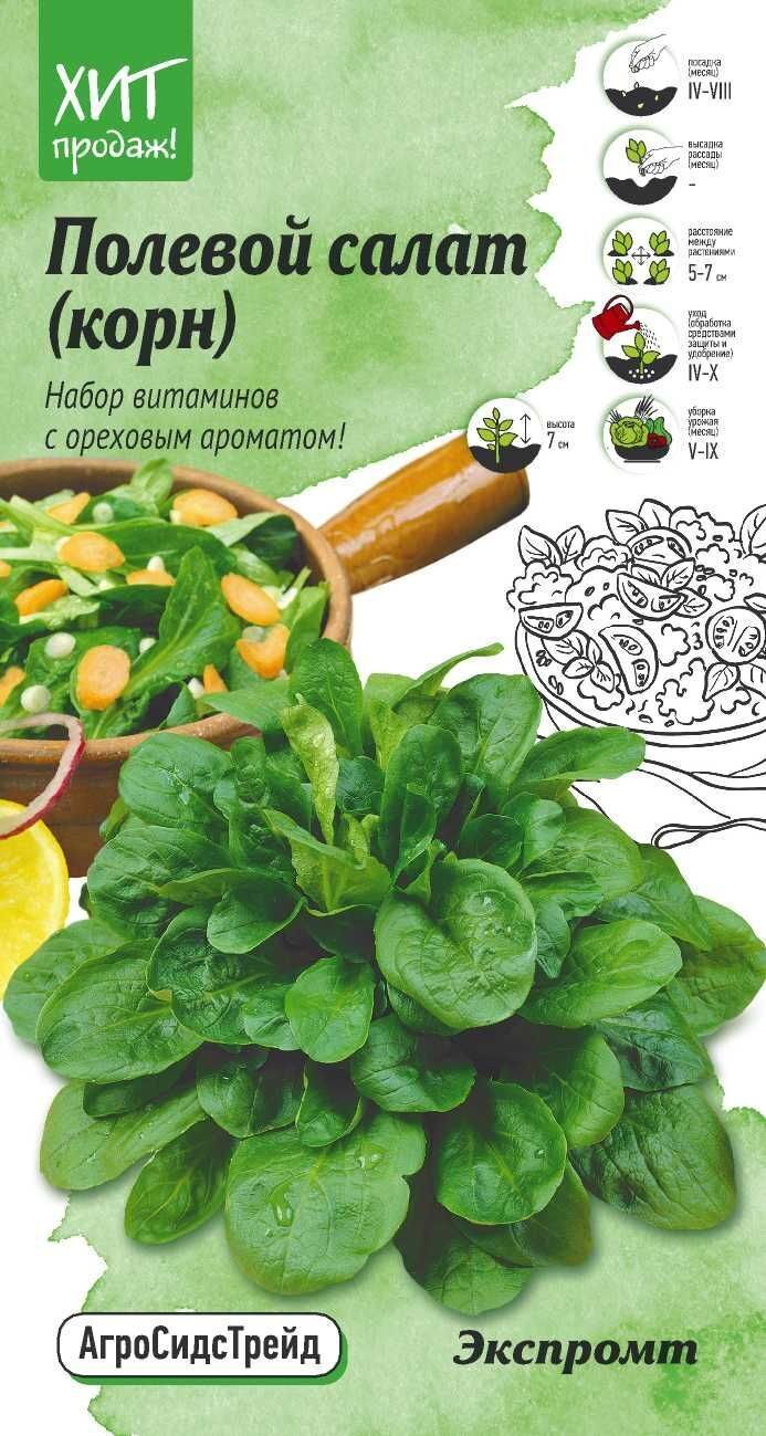 Салат полевой (корн) Экспромт 0,5 г АСТ