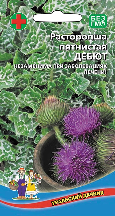Расторопша Дебют