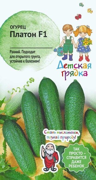Огурец Платон 7 шт Детская грядка