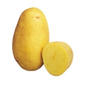 Картофель Колетте (1 кг)