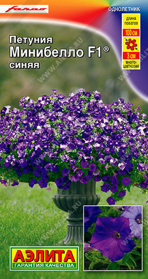 Петуния Минибелло синяя (мини) многоцв. 5шт