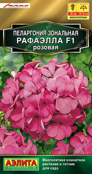 Пеларгония Рафаэлла розовая 5шт
