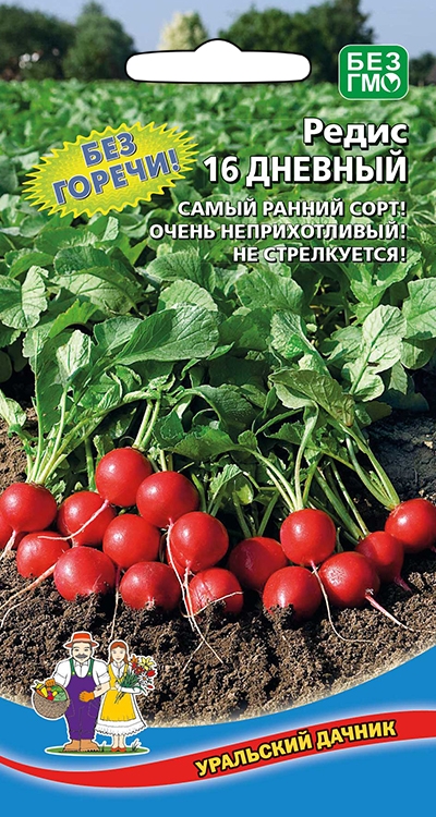 Редис 16 дневный 2г