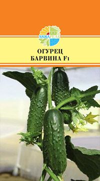 Огурец Барвина /Nunhems/ 8шт