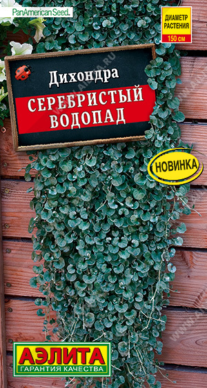 Дихондра Серебристый водопад 3шт