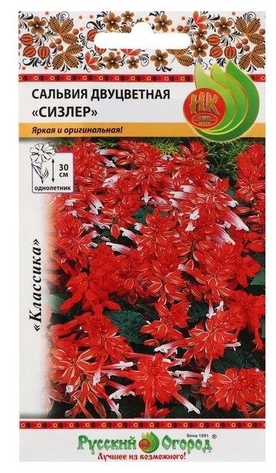 цСальвия Сизлер двуцветная смесь 15шт